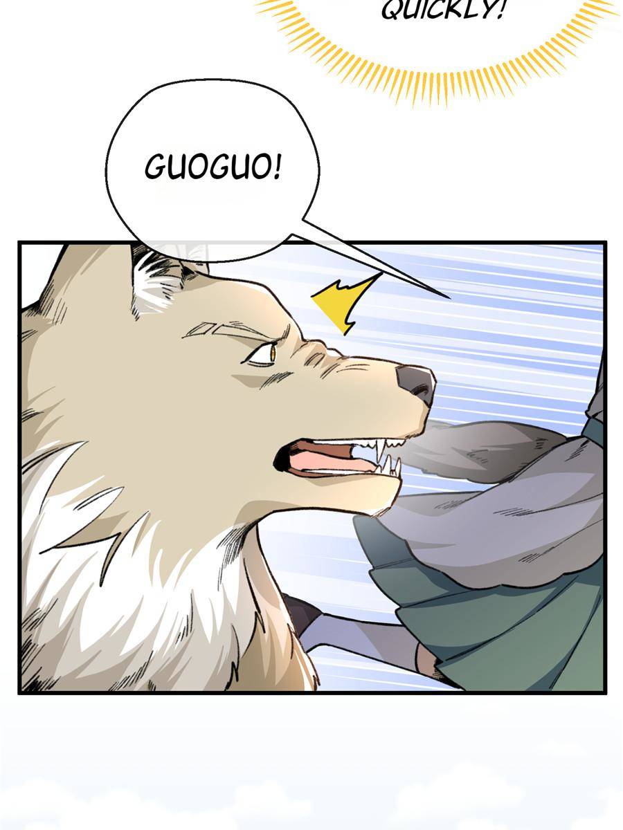 80204624 900 1200 88112